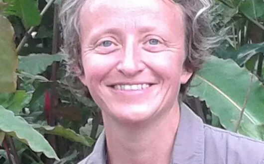 lemaire-s---thibaud-barthelemy_atlantide_nantes