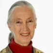 jane-goodall-atlantide-nantes