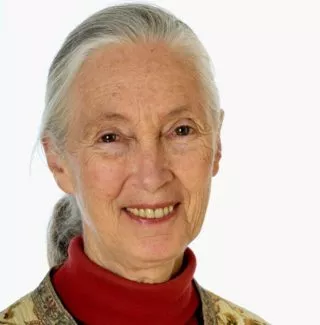 jane-goodall-atlantide-nantes