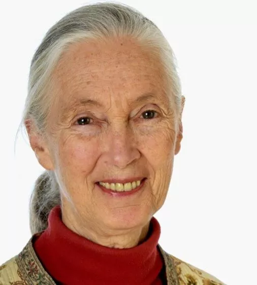 jane-goodall-atlantide-nantes